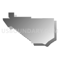 Census Tract 20, Pima County, Arizona (Gray Gradient Fill with Shadow)