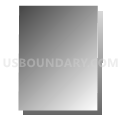 Census Tract 1170, Maricopa County, Arizona (Gray Gradient Fill with Shadow)