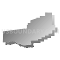Census Tract 14.01, Cochise County, Arizona (Gray Gradient Fill with Shadow)