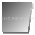 Census Tract 9807, Maricopa County, Arizona (Gray Gradient Fill with Shadow)