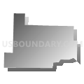 Census Tract 113, Washington County, Arkansas (Gray Gradient Fill with Shadow)