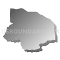 Census Tract 111.02, Washington County, Arkansas (Gray Gradient Fill with Shadow)