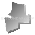 Census Tract 101.02, Sebastian County, Arkansas (Gray Gradient Fill with Shadow)
