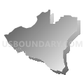Census Tract 207.04, Benton County, Arkansas (Gray Gradient Fill with Shadow)
