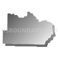 Census Tract 4602, Van Buren County, Arkansas (Gray Gradient Fill with Shadow)