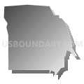 Census Tract 8.19, San Bernardino County, California (Gray Gradient Fill with Shadow)