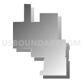 Census Tract 9802, San Bernardino County, California (Gray Gradient Fill with Shadow)