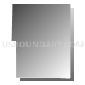 Census Tract 20.28, San Bernardino County, California (Gray Gradient Fill with Shadow)