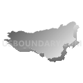 Census Tract 319, El Dorado County, California (Gray Gradient Fill with Shadow)