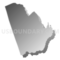 Census Tract 307.04, El Dorado County, California (Gray Gradient Fill with Shadow)