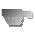 Census Tract 9749, Conejos County, Colorado (Gray Gradient Fill with Shadow)
