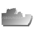 Census Tract 9411, Montezuma County, Colorado (Gray Gradient Fill with Shadow)