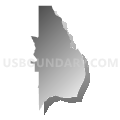 Census Tract 142.02, Douglas County, Colorado (Gray Gradient Fill with Shadow)