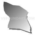 Census Tract 141.33, Douglas County, Colorado (Gray Gradient Fill with Shadow)