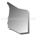 Census Tract 140.05, Douglas County, Colorado (Gray Gradient Fill with Shadow)