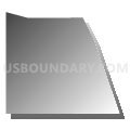 Census Tract 40.03, Denver County, Colorado (Gray Gradient Fill with Shadow)