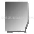 Census Tract 13.01, Denver County, Colorado (Gray Gradient Fill with Shadow)
