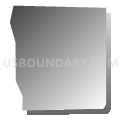 Census Tract 19.01, Denver County, Colorado (Gray Gradient Fill with Shadow)