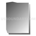 Census Tract 46.02, Denver County, Colorado (Gray Gradient Fill with Shadow)