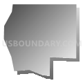 Census Tract 157, Denver County, Colorado (Gray Gradient Fill with Shadow)