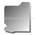 Census Tract 51.04, El Paso County, Colorado (Gray Gradient Fill with Shadow)
