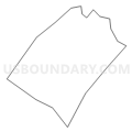Census Tract 111, New Castle County, Delaware (Light Gray Border)