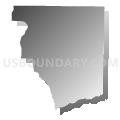 Census Tract 101, Santa Rosa County, Florida (Gray Gradient Fill with Shadow)