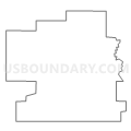Census Tract 403, Franklin County, Illinois (Light Gray Border)