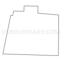 Census Tract 9588, Christian County, Illinois (Light Gray Border)
