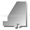 Census Tract 9545, Piatt County, Illinois (Gray Gradient Fill with Shadow)