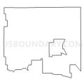 Census Tract 9556, Saline County, Illinois (Light Gray Border)