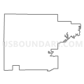 Census Tract 9592, Shelby County, Illinois (Light Gray Border)