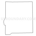 Census Tract 9563, Mason County, Illinois (Light Gray Border)
