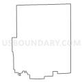 Census Tract 9501, Iroquois County, Illinois (Light Gray Border)