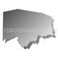 Census Tract 9602, Logan County, Kentucky (Gray Gradient Fill with Shadow)