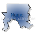 Census Tract 201, Grant Parish, Louisiana (Radial Fill with Shadow)