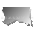 Census Tract 9601, Union Parish, Louisiana (Gray Gradient Fill with Shadow)