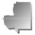 Census Tract 9601, Beauregard Parish, Louisiana (Gray Gradient Fill with Shadow)