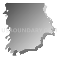 Census Tract 112, Bossier Parish, Louisiana (Gray Gradient Fill with Shadow)