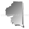Census Tract 111.06, Bossier Parish, Louisiana (Gray Gradient Fill with Shadow)