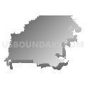 Census Tract 9501, Franklin Parish, Louisiana (Gray Gradient Fill with Shadow)