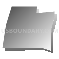 Census Tract 225, Caddo Parish, Louisiana (Gray Gradient Fill with Shadow)