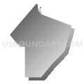 Census Tract 241.07, Caddo Parish, Louisiana (Gray Gradient Fill with Shadow)