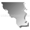 Census Tract 251, Caddo Parish, Louisiana (Gray Gradient Fill with Shadow)