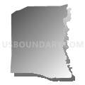 Census Tract 9536, Tangipahoa Parish, Louisiana (Gray Gradient Fill with Shadow)