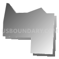 Census Tract 201.02, Jefferson Parish, Louisiana (Gray Gradient Fill with Shadow)