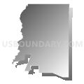 Census Tract 9502, Allen Parish, Louisiana (Gray Gradient Fill with Shadow)