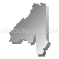 Census Tract 9504, Allen Parish, Louisiana (Gray Gradient Fill with Shadow)