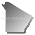 Census Tract 9602, Cheboygan County, Michigan (Gray Gradient Fill with Shadow)