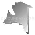 Census Tract 9604, Cheboygan County, Michigan (Gray Gradient Fill with Shadow)